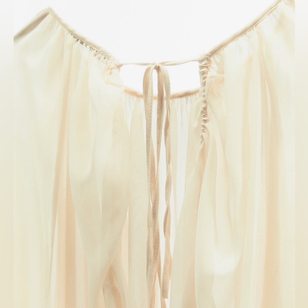 Zara Sheer Open Back Top - Picture 9 of 13